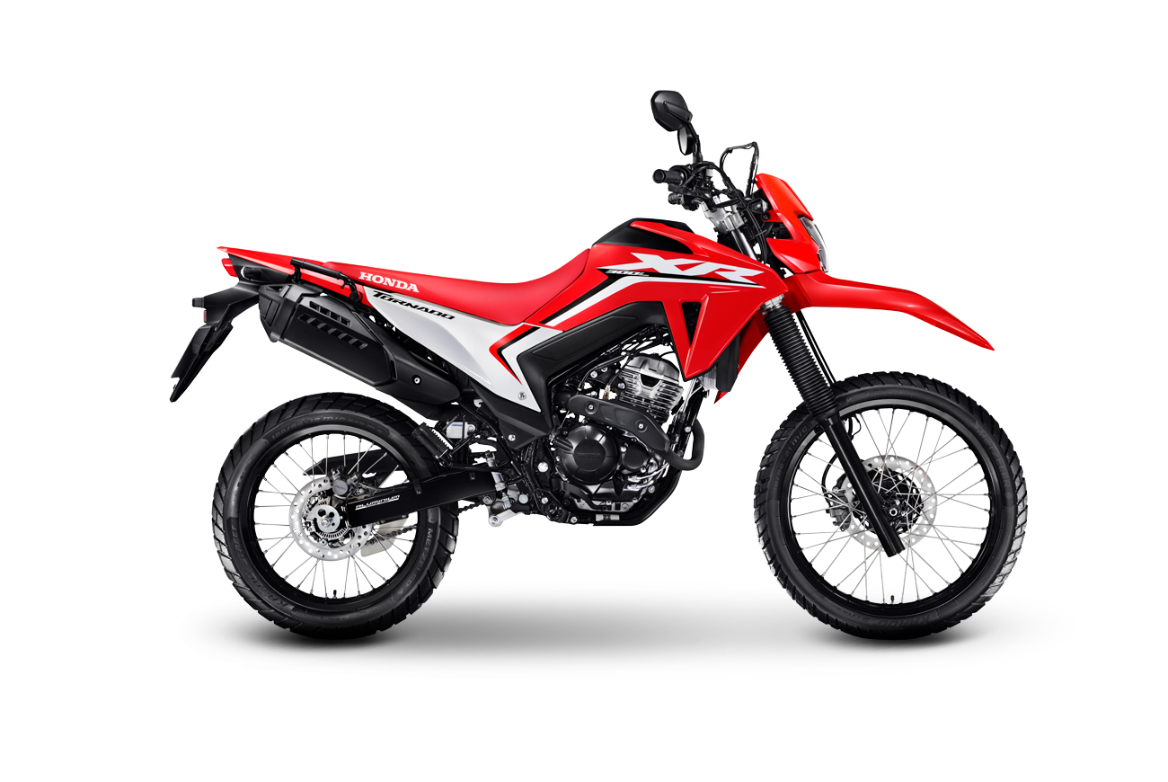 XR300 TORNADO 2025